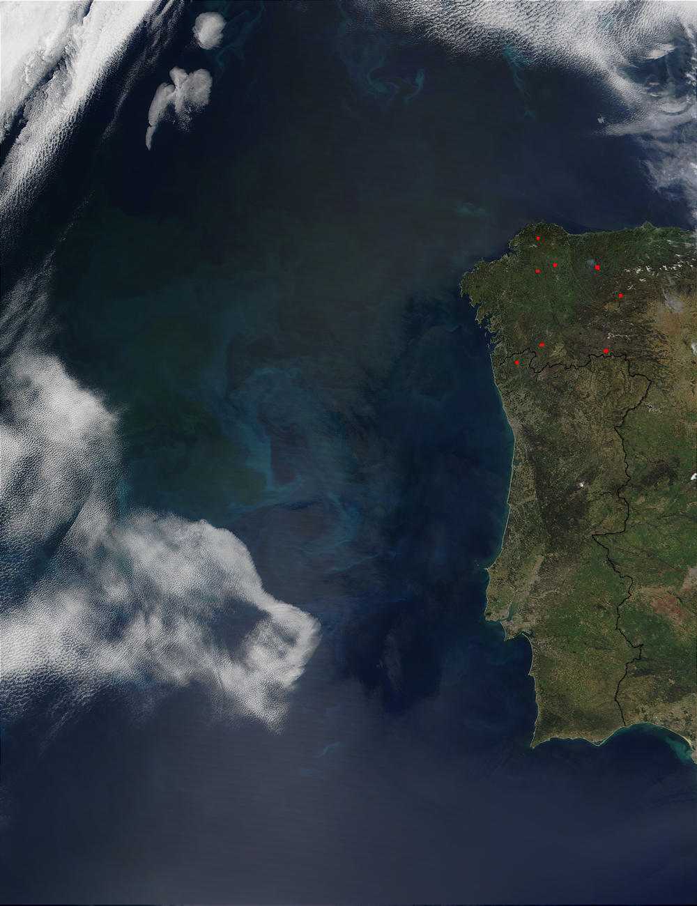 Phytoplankton bloom off the coast of Portugal - related image preview