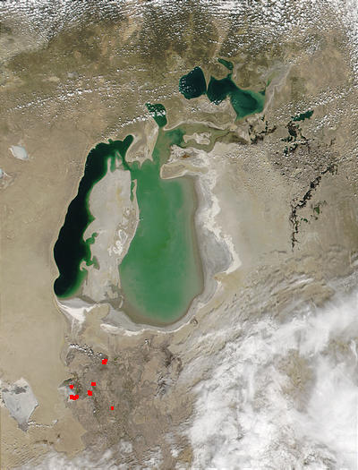 Aral Sea - related image preview