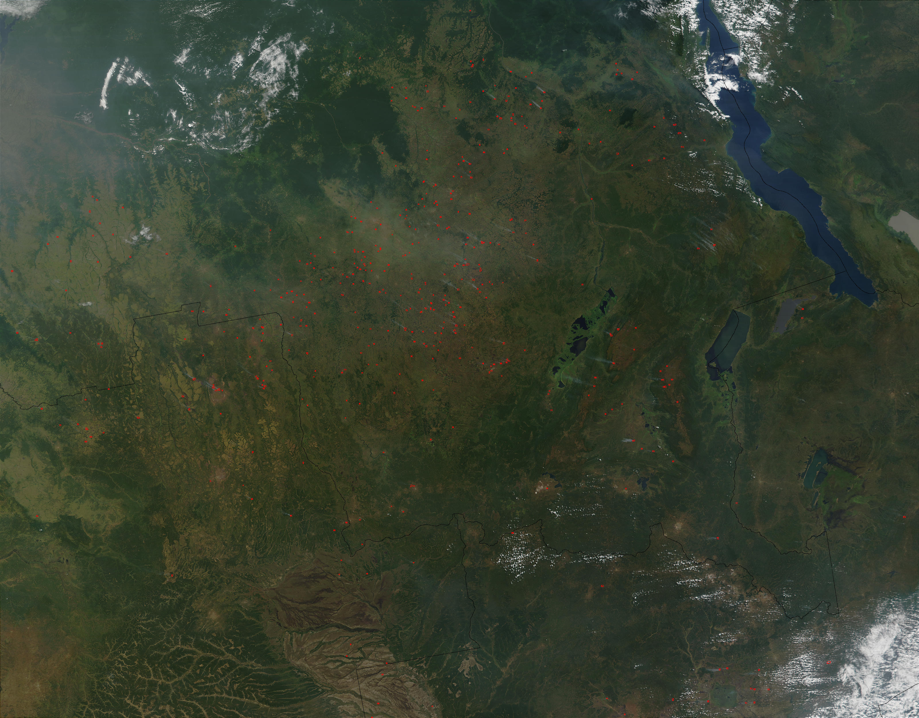 Fires in Democratic Republic of the Congo, Angola, and Zambia - related image preview