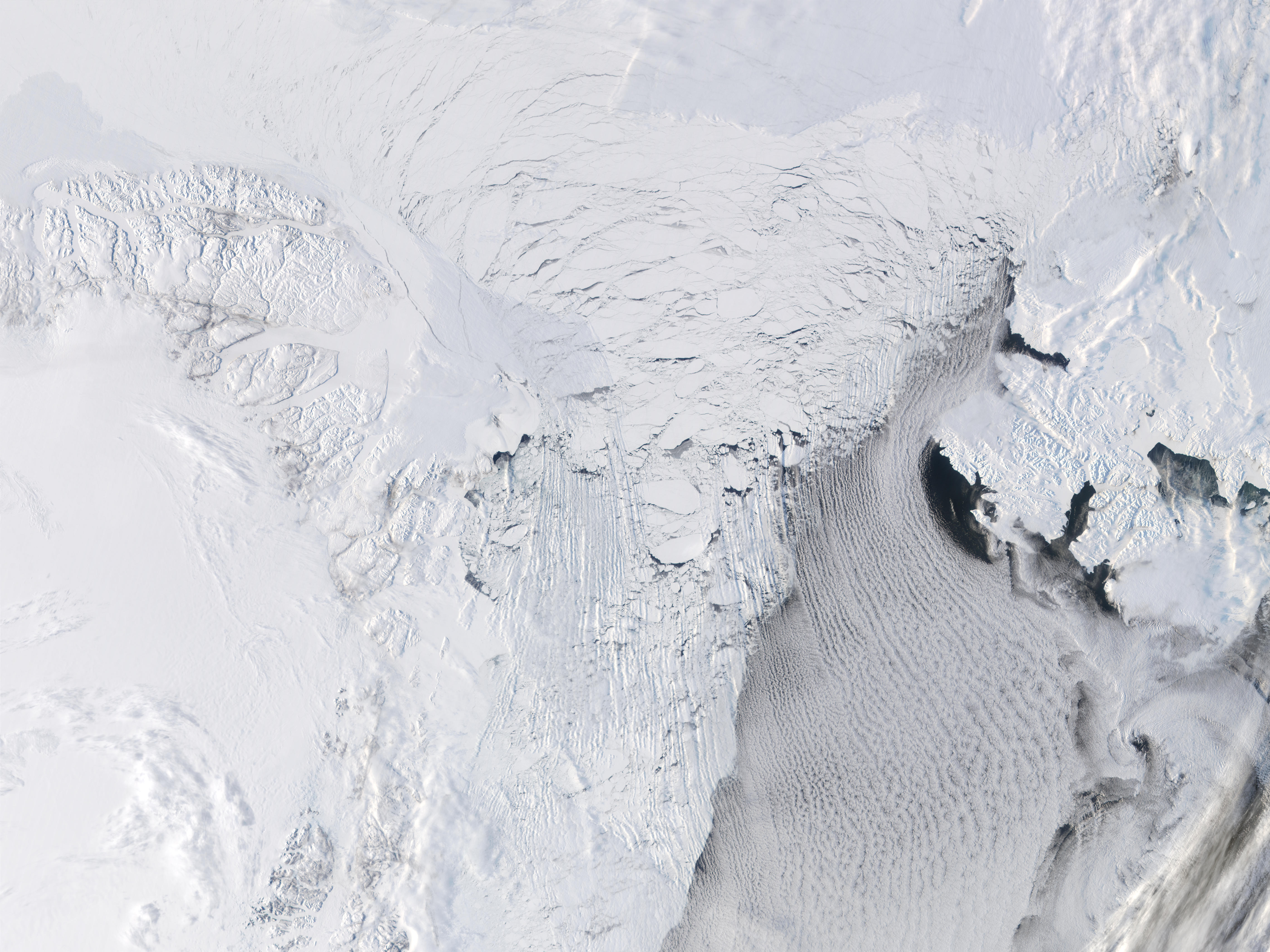 Svalbard and Northeast Greenland - related image preview