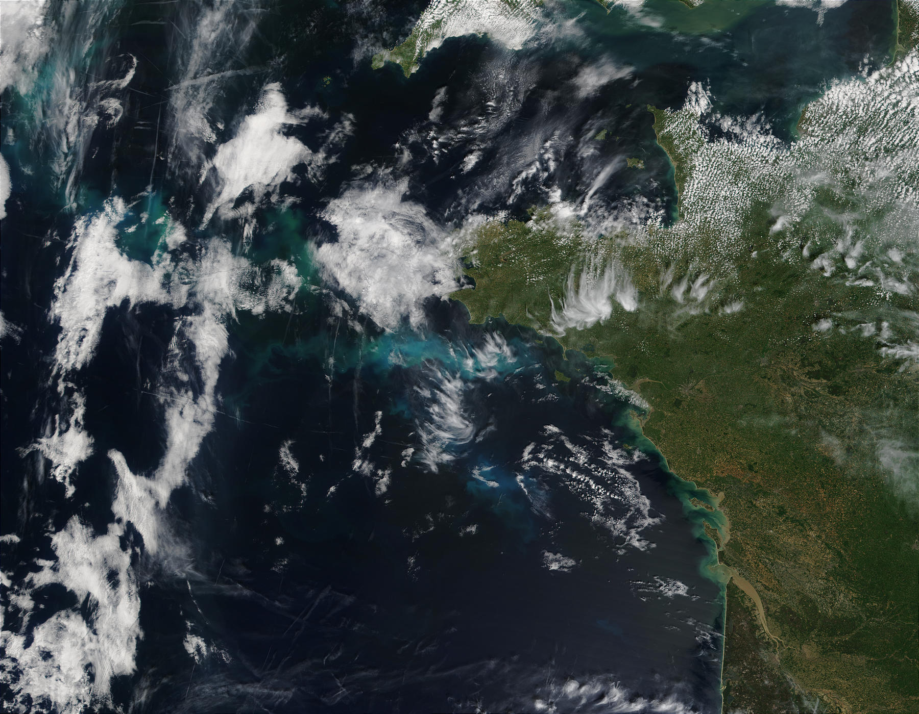Phytoplankton bloom off Brittany, France - related image preview