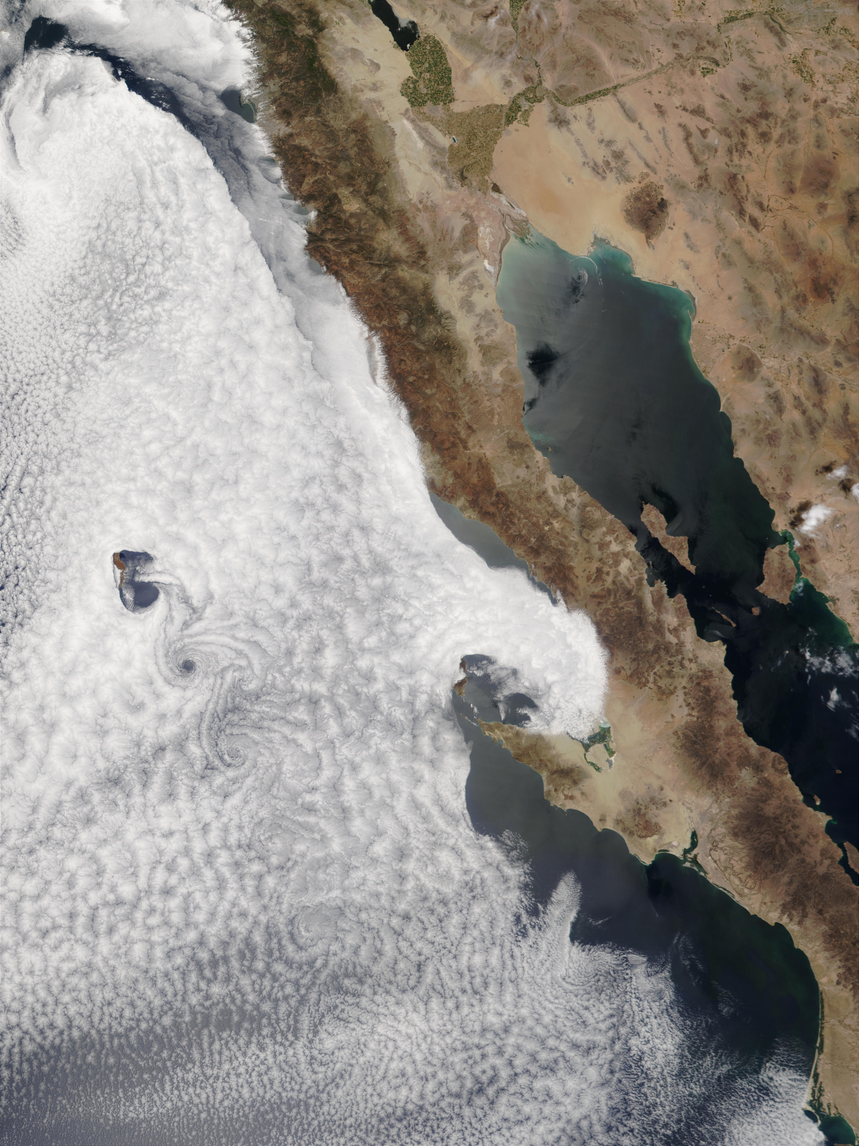 Vortex street off Baja California, Mexico - related image preview