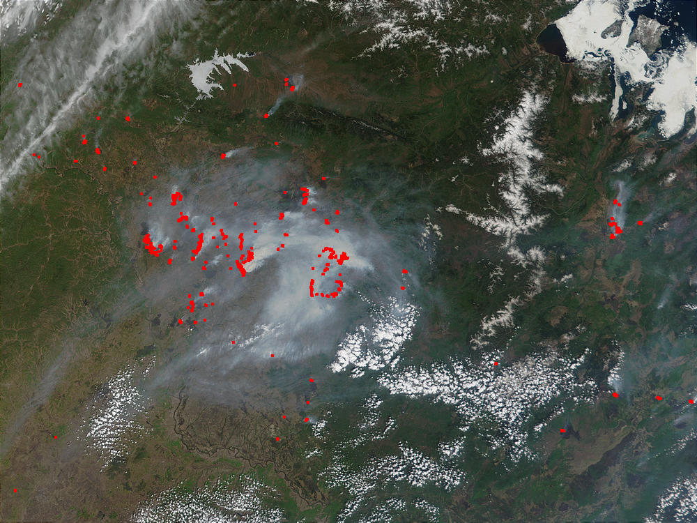 Fires in the Amur Region, Russia - related image preview