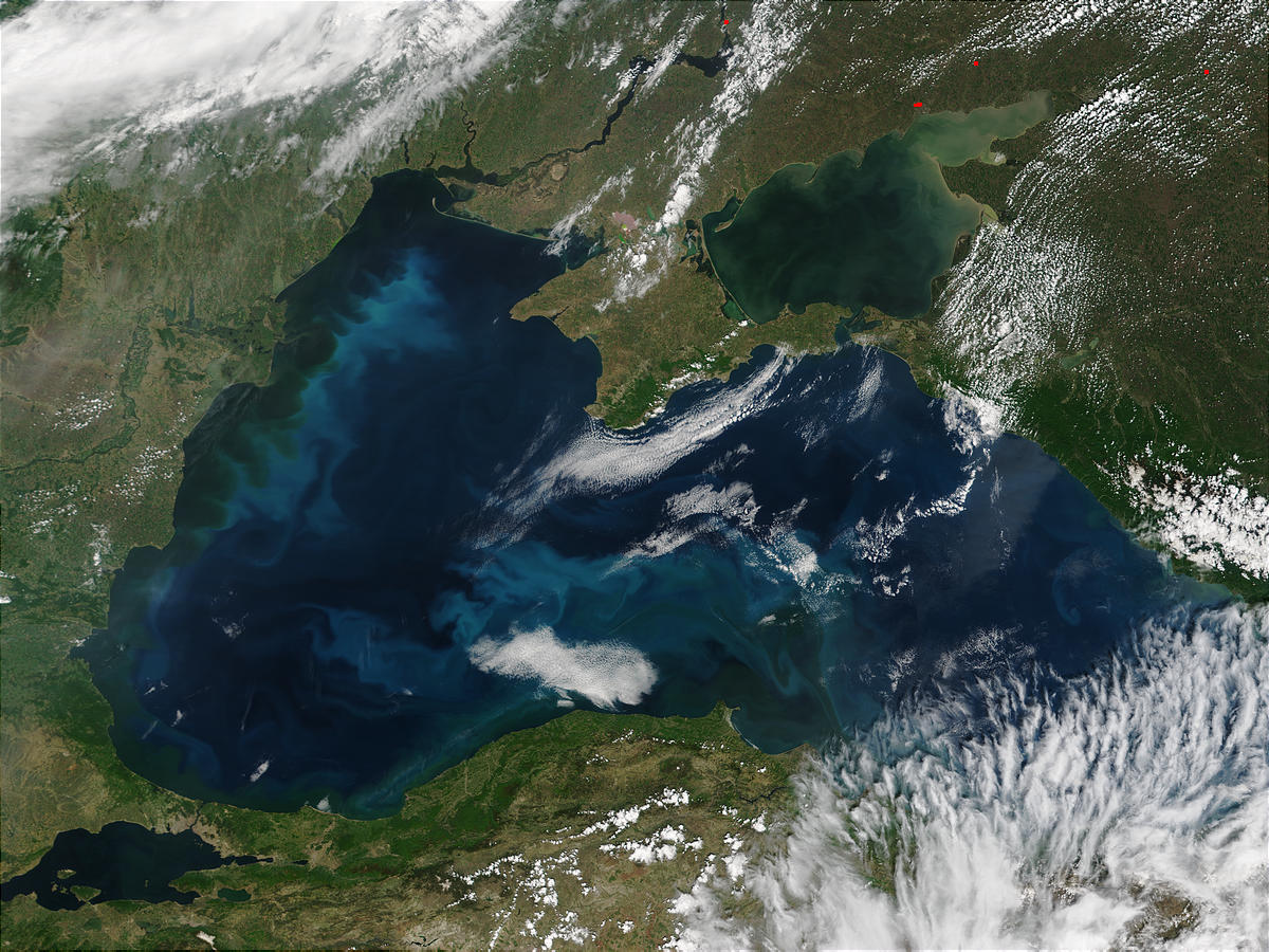 Phytoplankton bloom in the Black Sea - related image preview