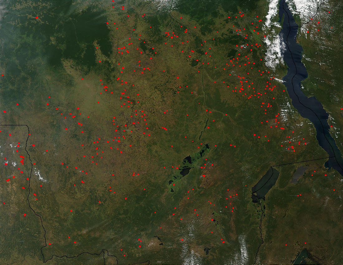 Fires in Democratic Republic of the Congo - related image preview