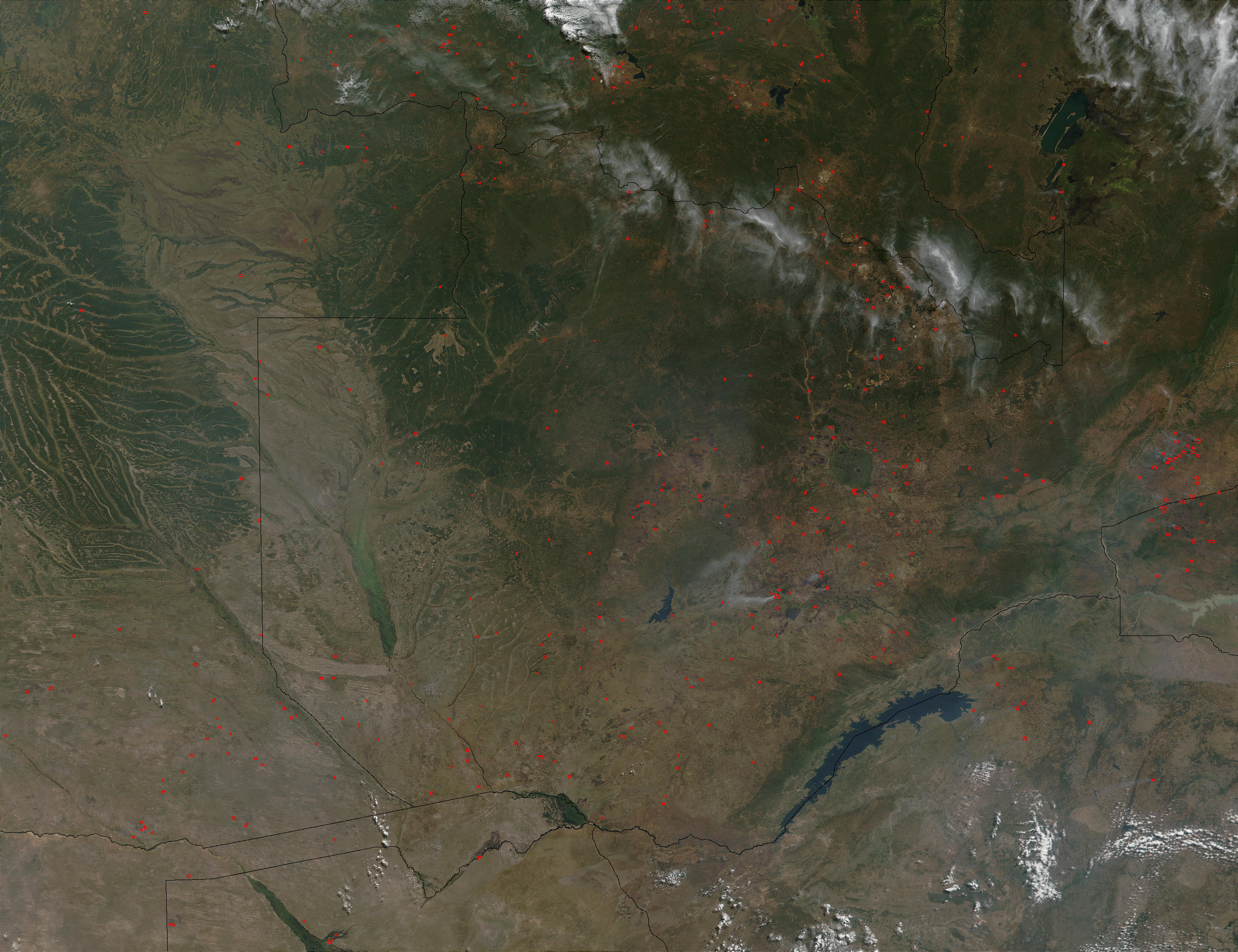 Fires in Zambia, Angola, and Democratic Republic of the Congo - related image preview