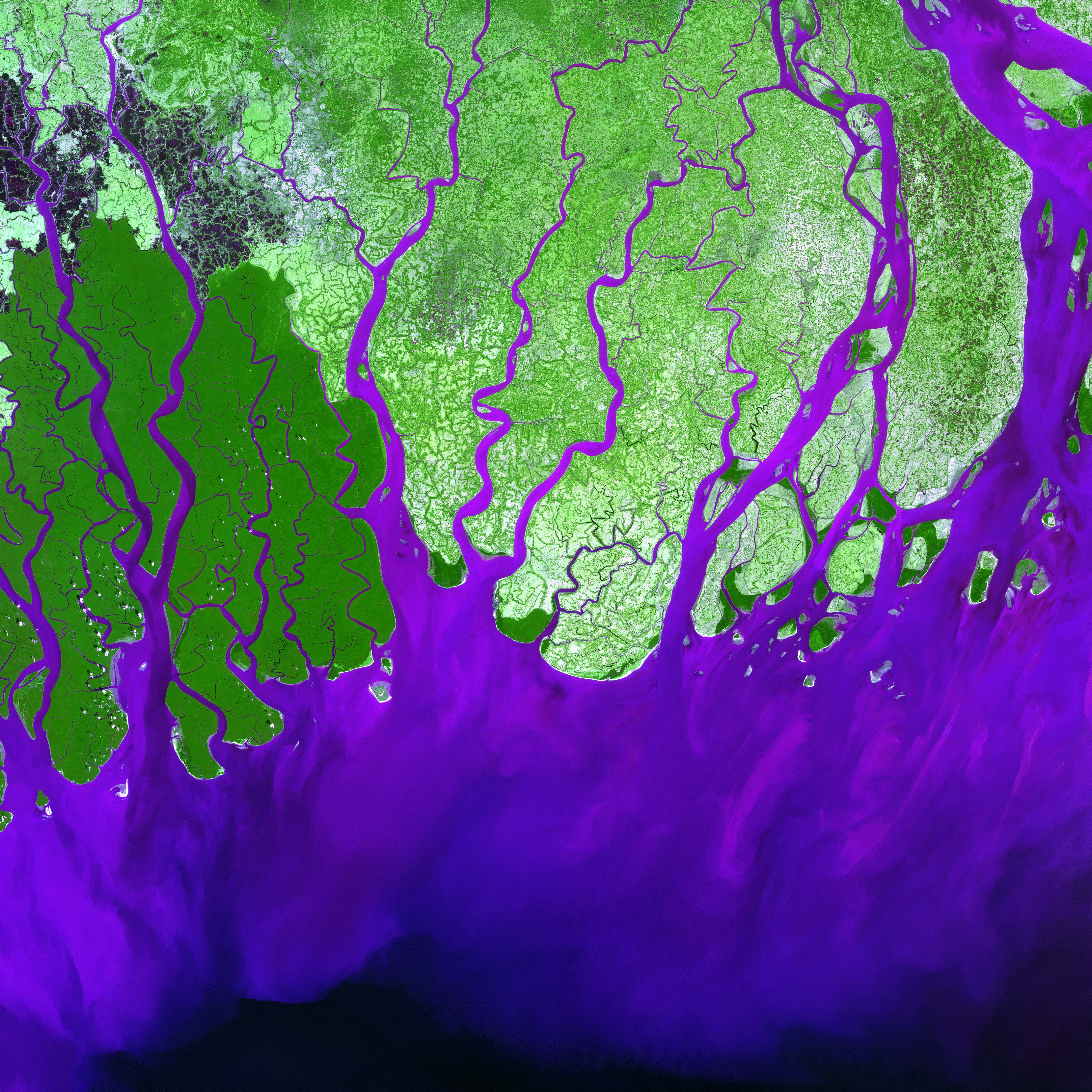 Ganges River Delta - related image preview