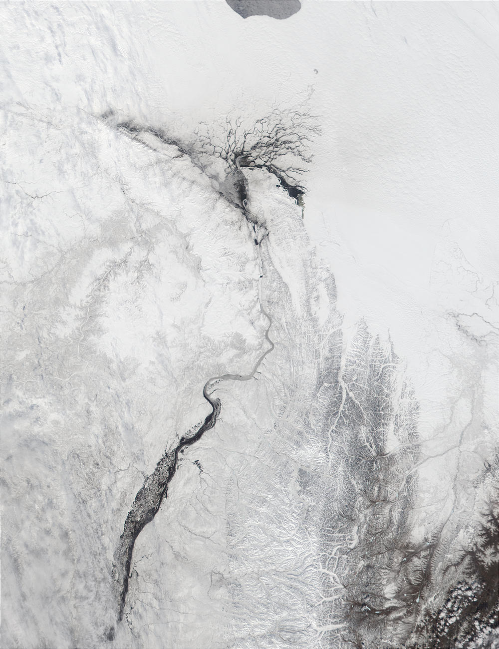 Mouth of the Lena River, Russia - related image preview