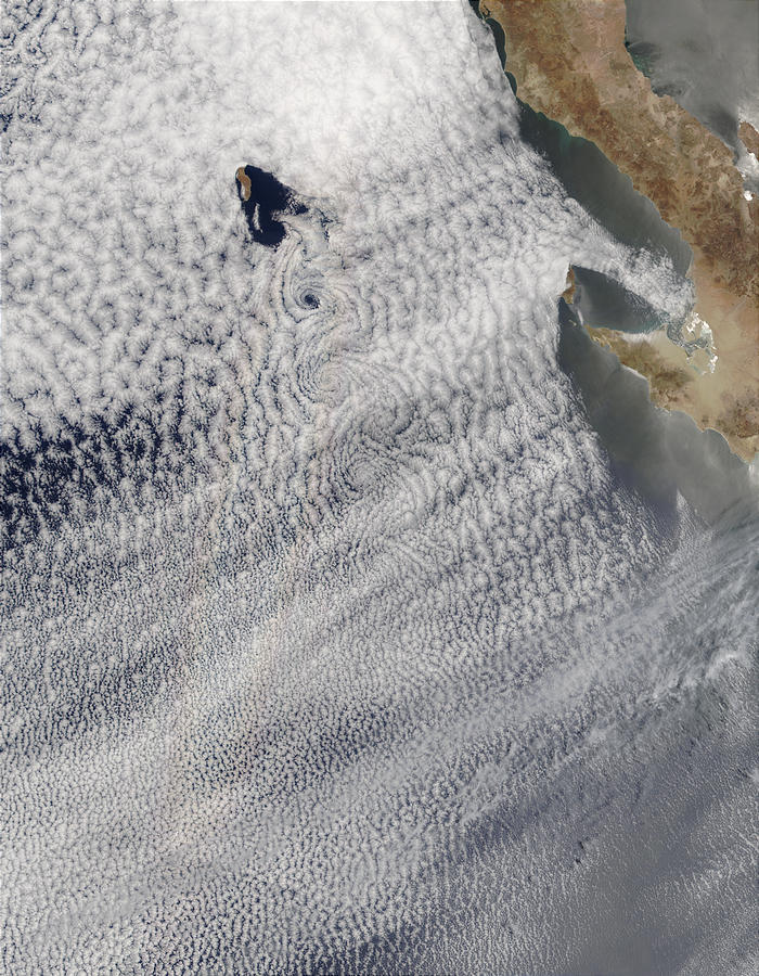 Vortex street and glory south of Guadalupe Island, Mexico - related image preview
