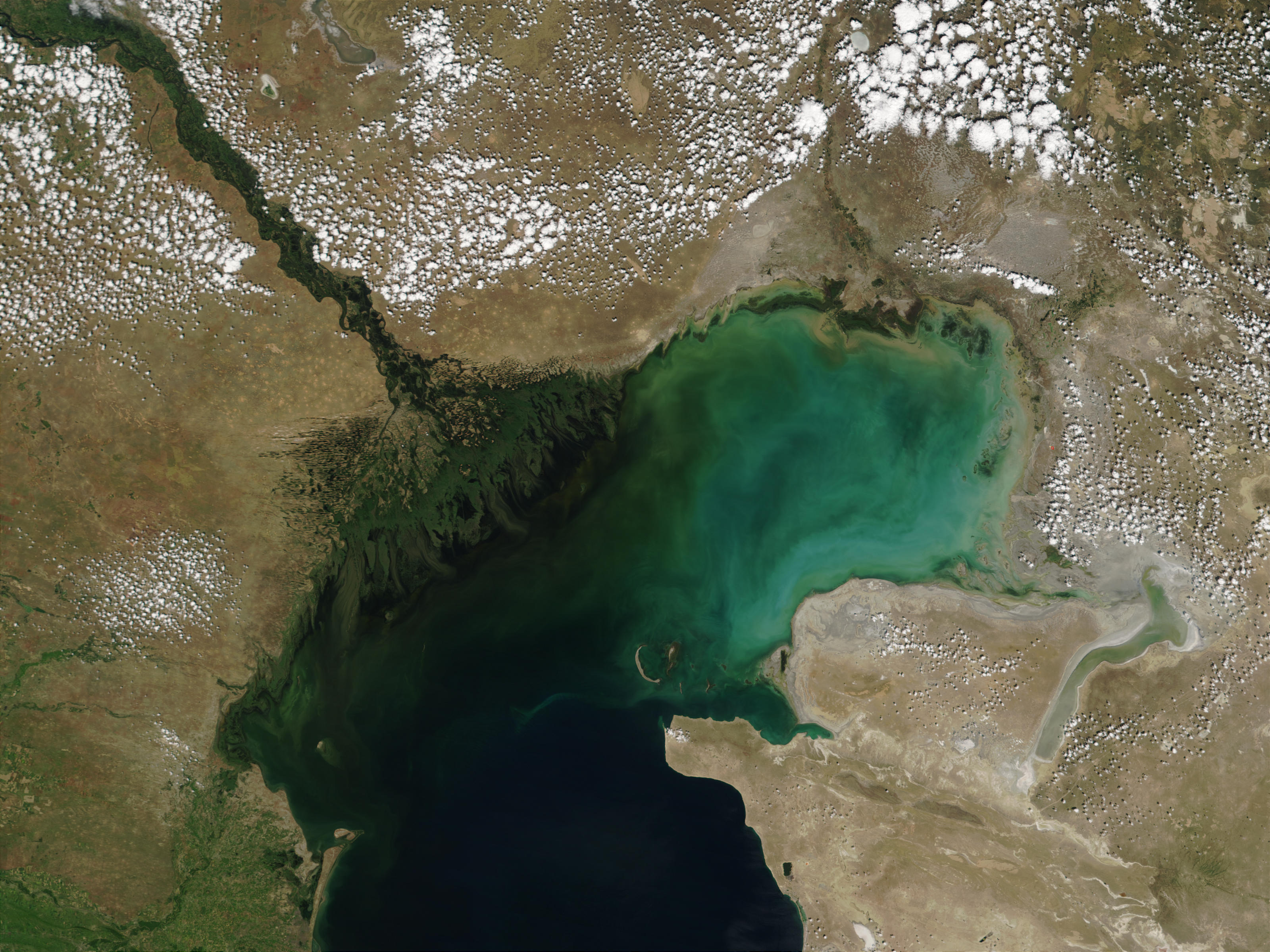 Волга впадает в Каспийское море