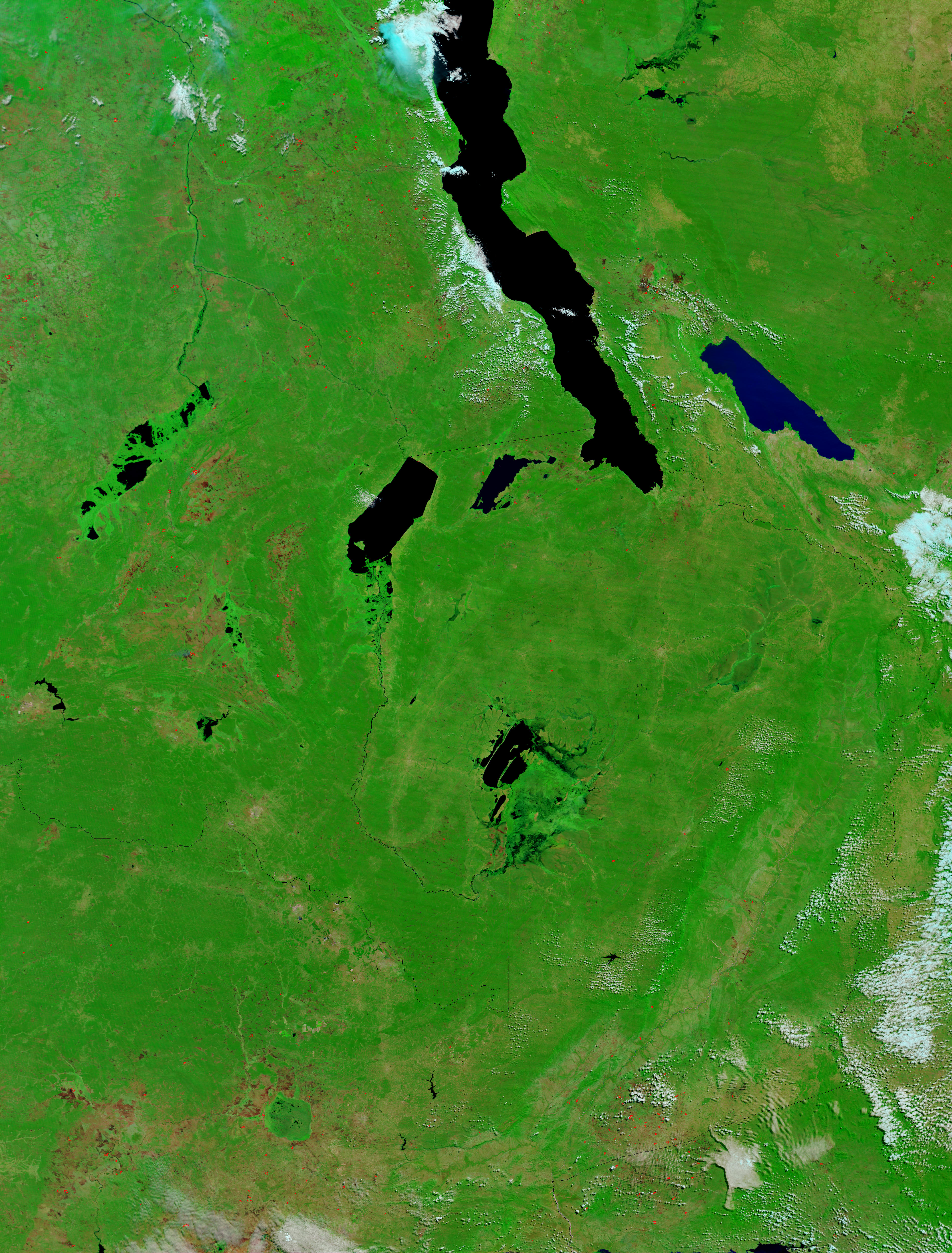 Fires and burn scars in Democratic Republic of the Congo, Tanzania, and Zambia - related image preview