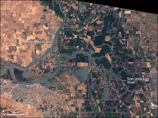 Sacramento River Delta