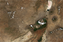Drought on the Serengeti Plain