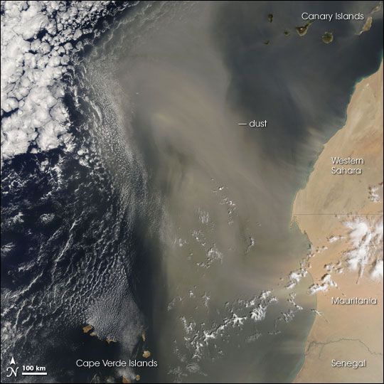 Dust Storm off West Africa