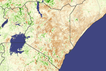 Drought in Eastern Africa - related image preview