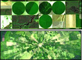 Agricultural Patterns