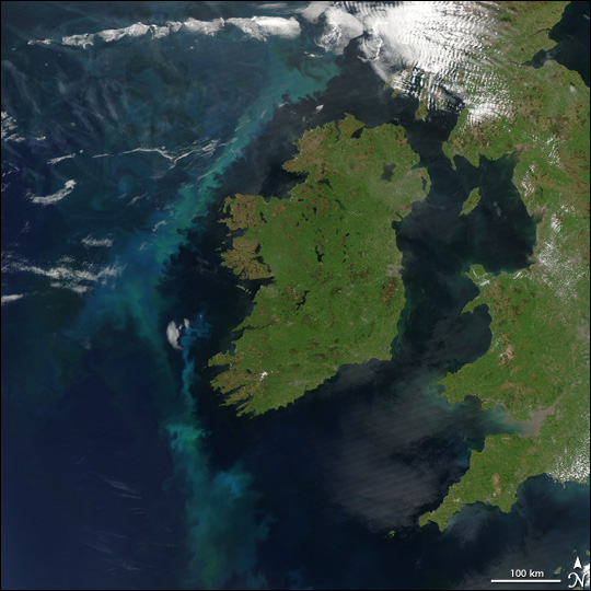 Phytoplankton Bloom off Ireland
