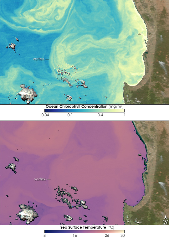 Ocean Vortex off Western Australia