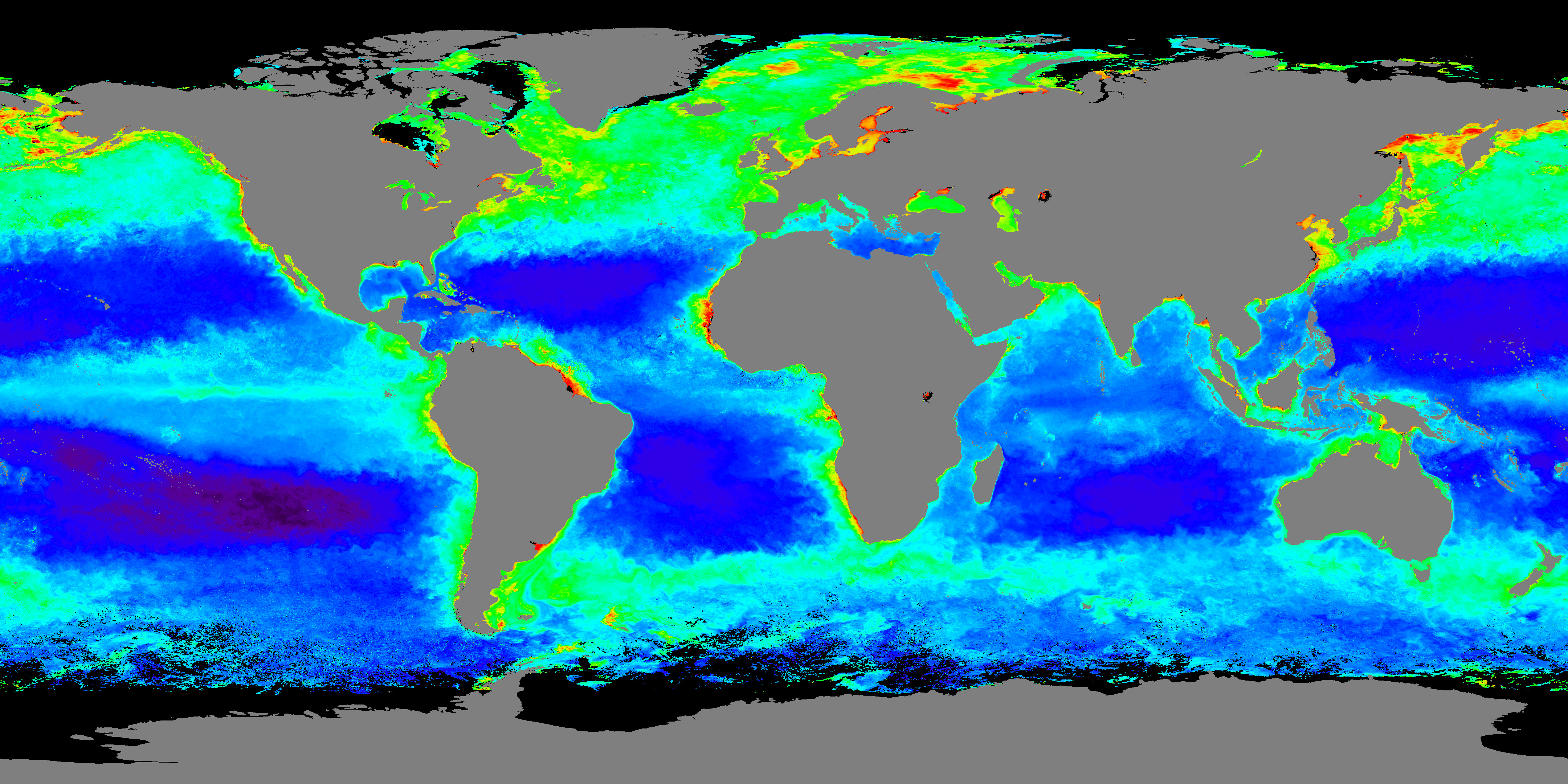 Sea Surface Chlorophyll Map A World Of Chlorophyll