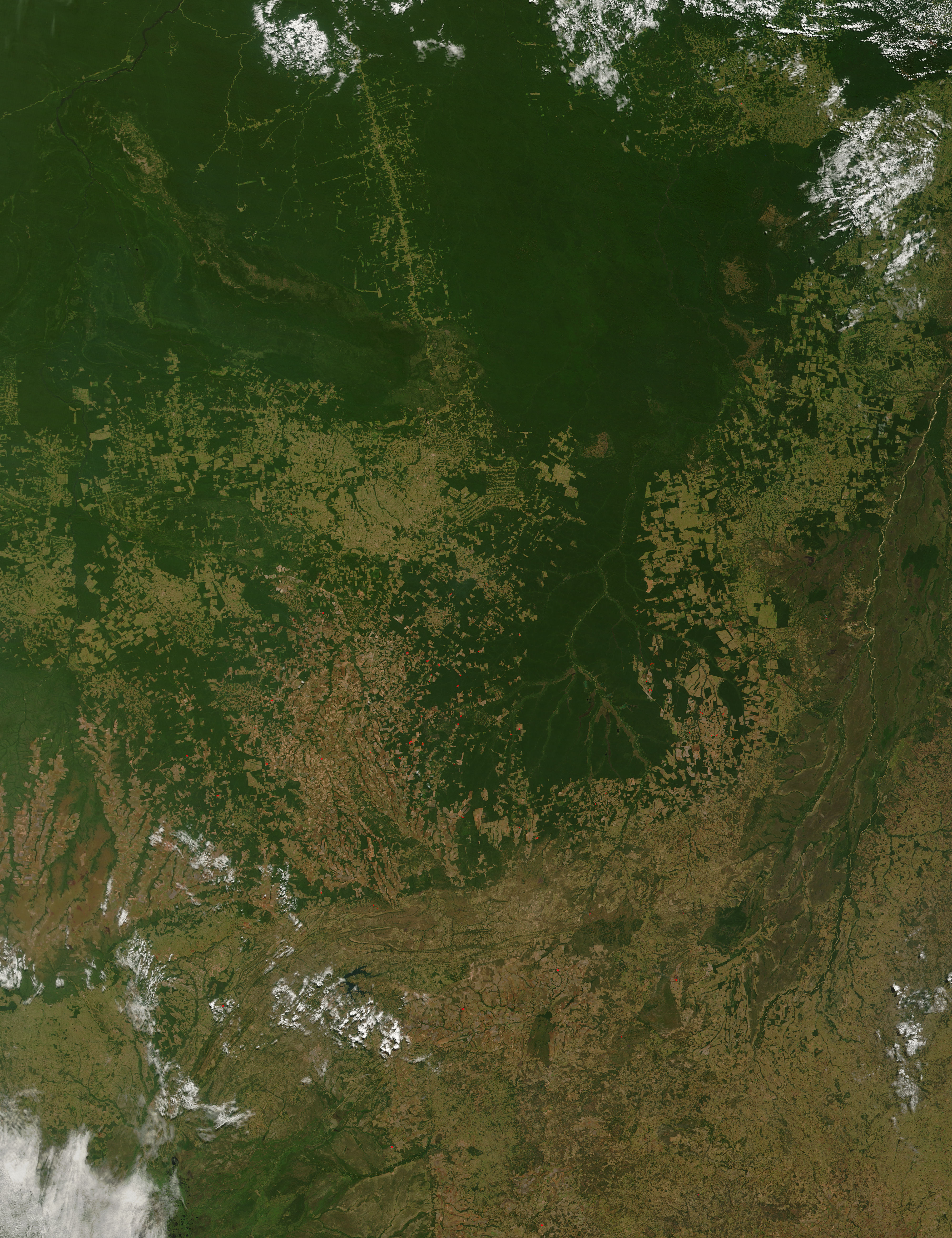 Amazon Deforestation, Mato Grosso, Brazil - related image preview