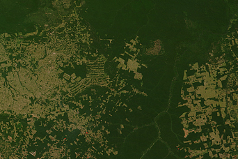 Amazon Deforestation, Mato Grosso, Brazil - related image preview