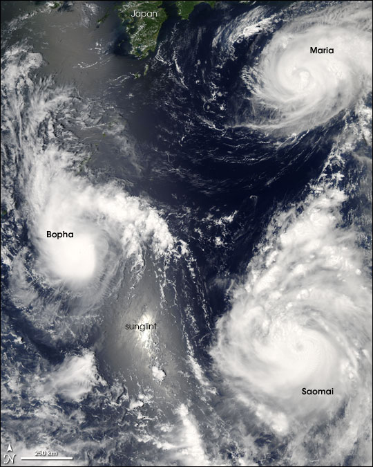 Pacific Typhoons