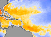 Hurricane-Ready Sea Surface Temperatures 
