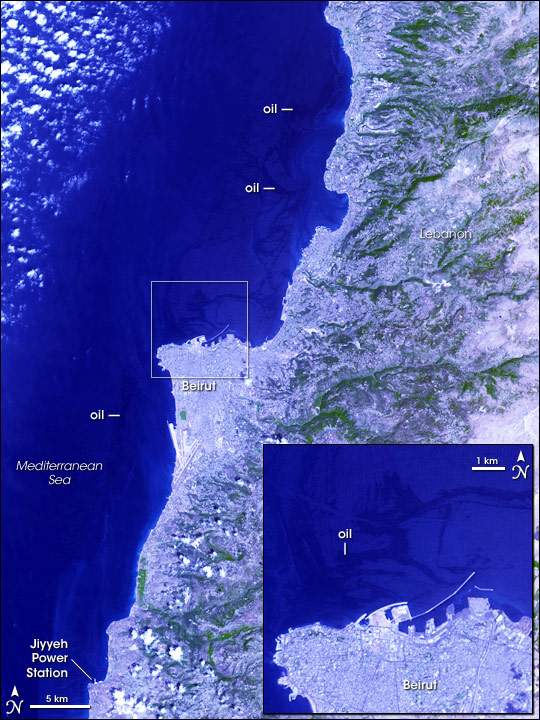 Oil Spill Along the Lebanese Coast - related image preview