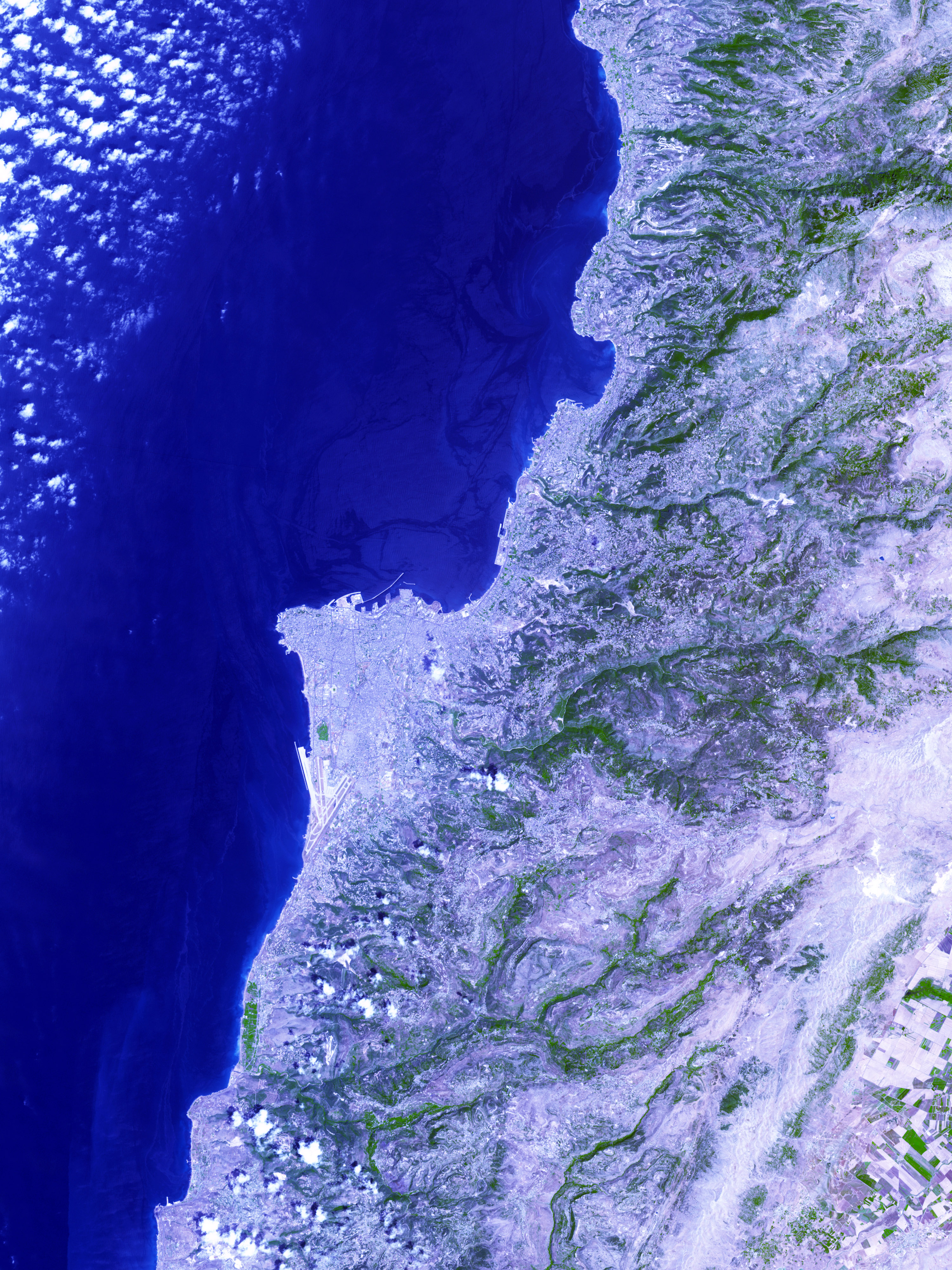 Oil Spill Along the Lebanese Coast - related image preview