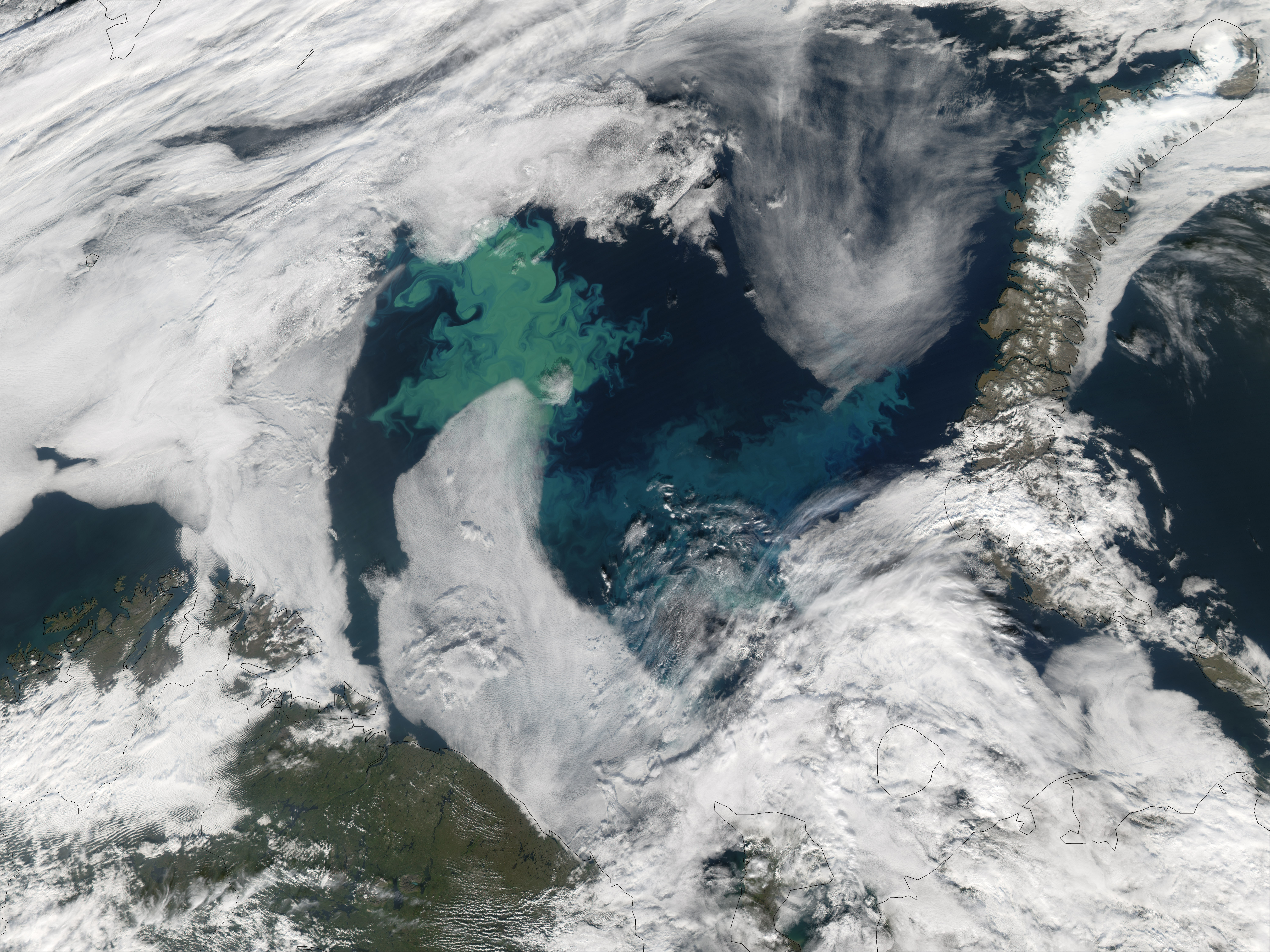 Barents Sea Phytoplankton Bloom - related image preview