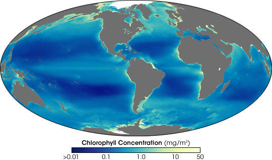 Nines Years of Ocean Chlorophyll 