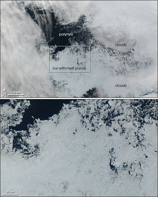 Polynya North of Alaska