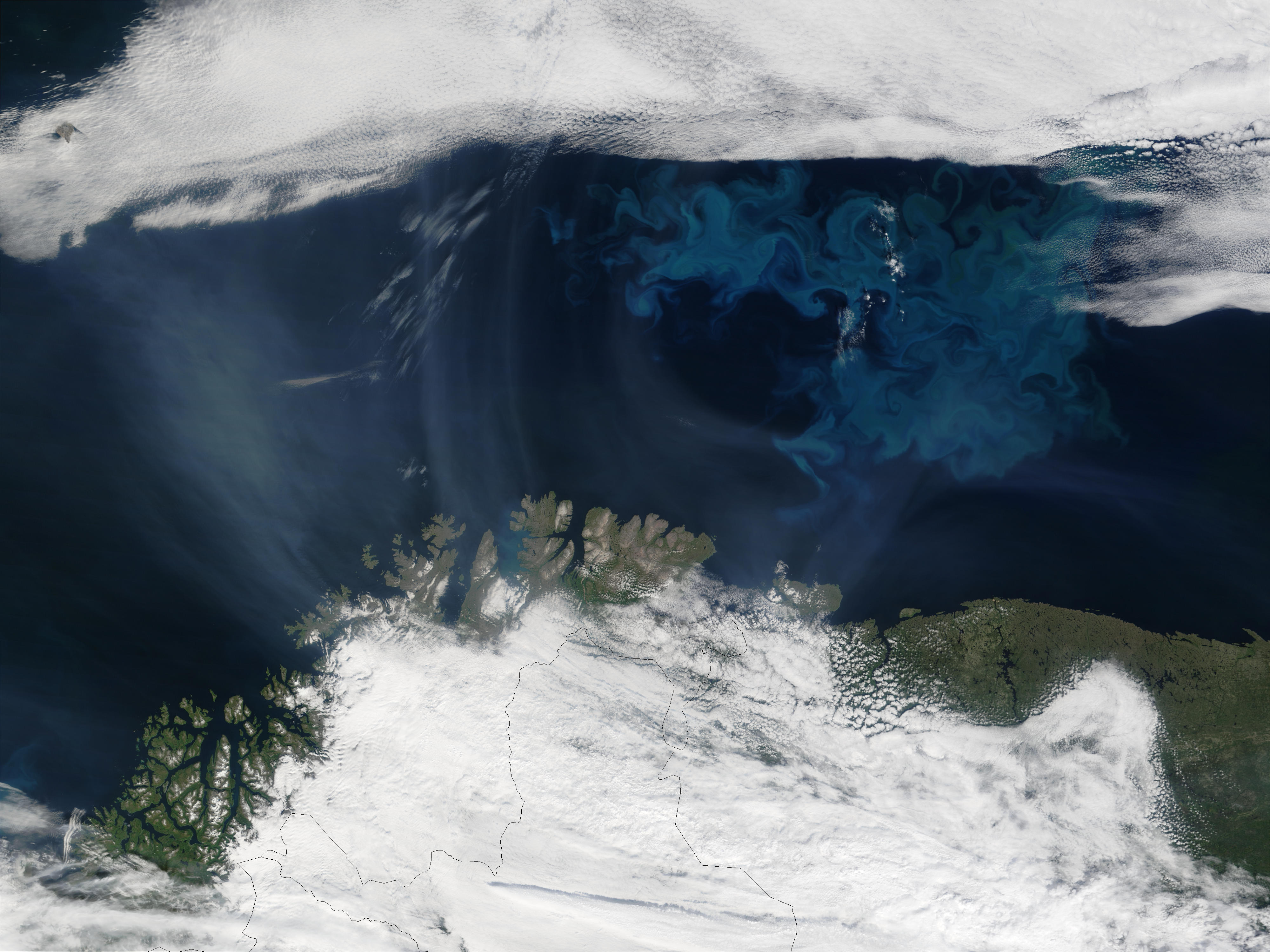 Smoke from Saskatchewan fires (Canada) and phytoplankton bloom off Northern Norway - related image preview