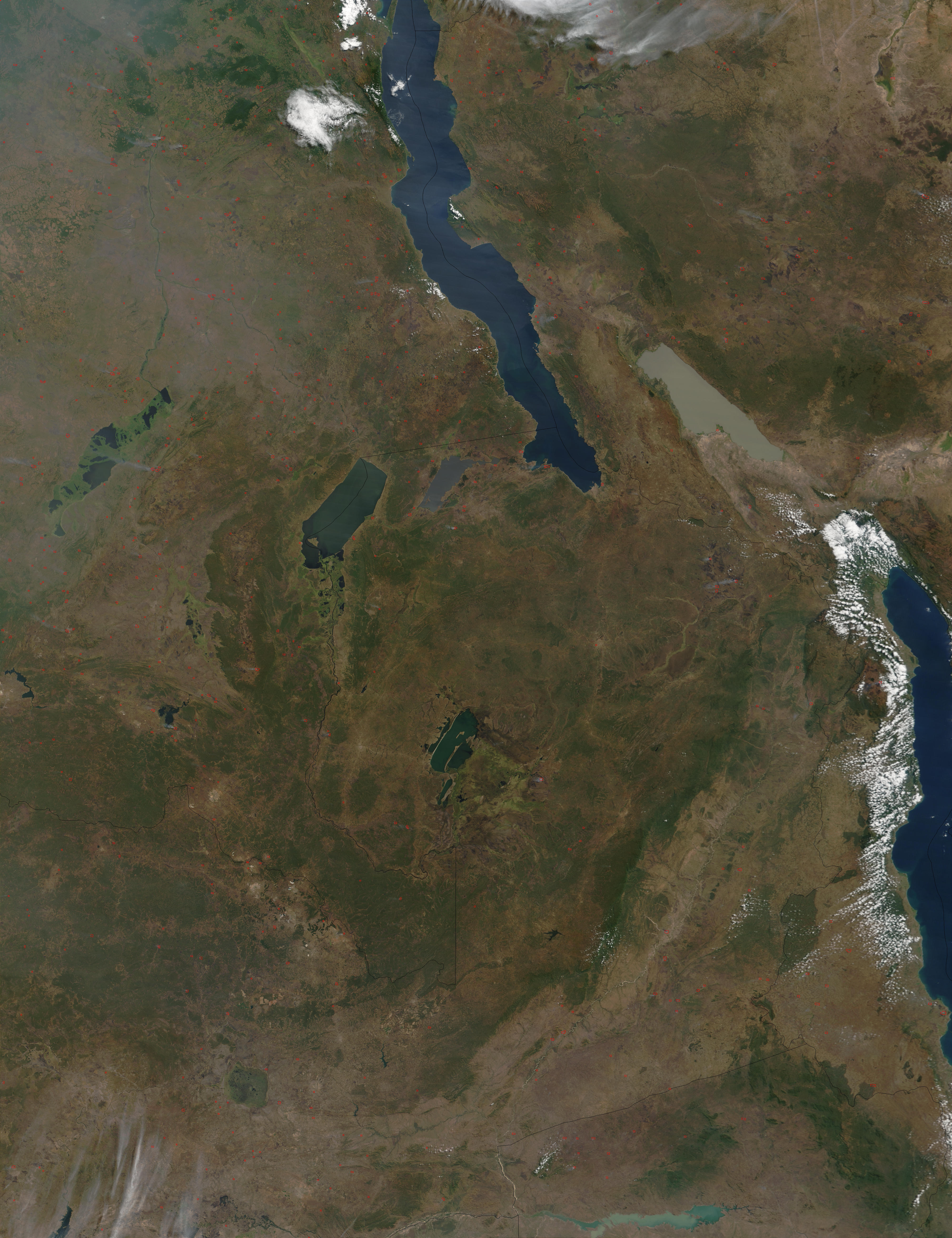 Fires in Democratic Republic of the Congo, Tanzania, and Zambia - related image preview