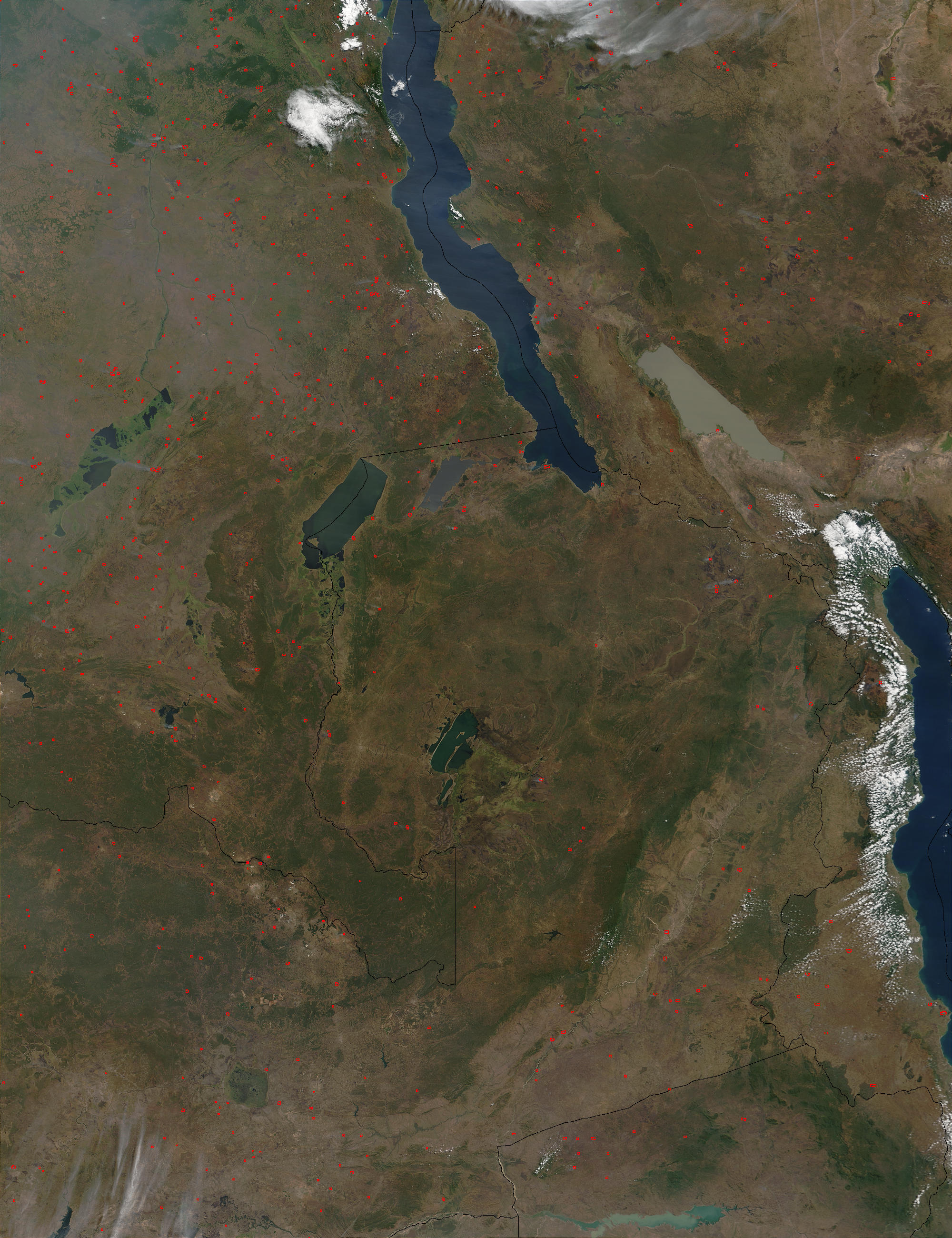 Fires in Democratic Republic of the Congo, Tanzania, and Zambia - related image preview