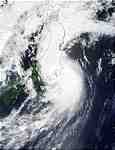 Typhoon Halong (10W) off Japan - selected child image