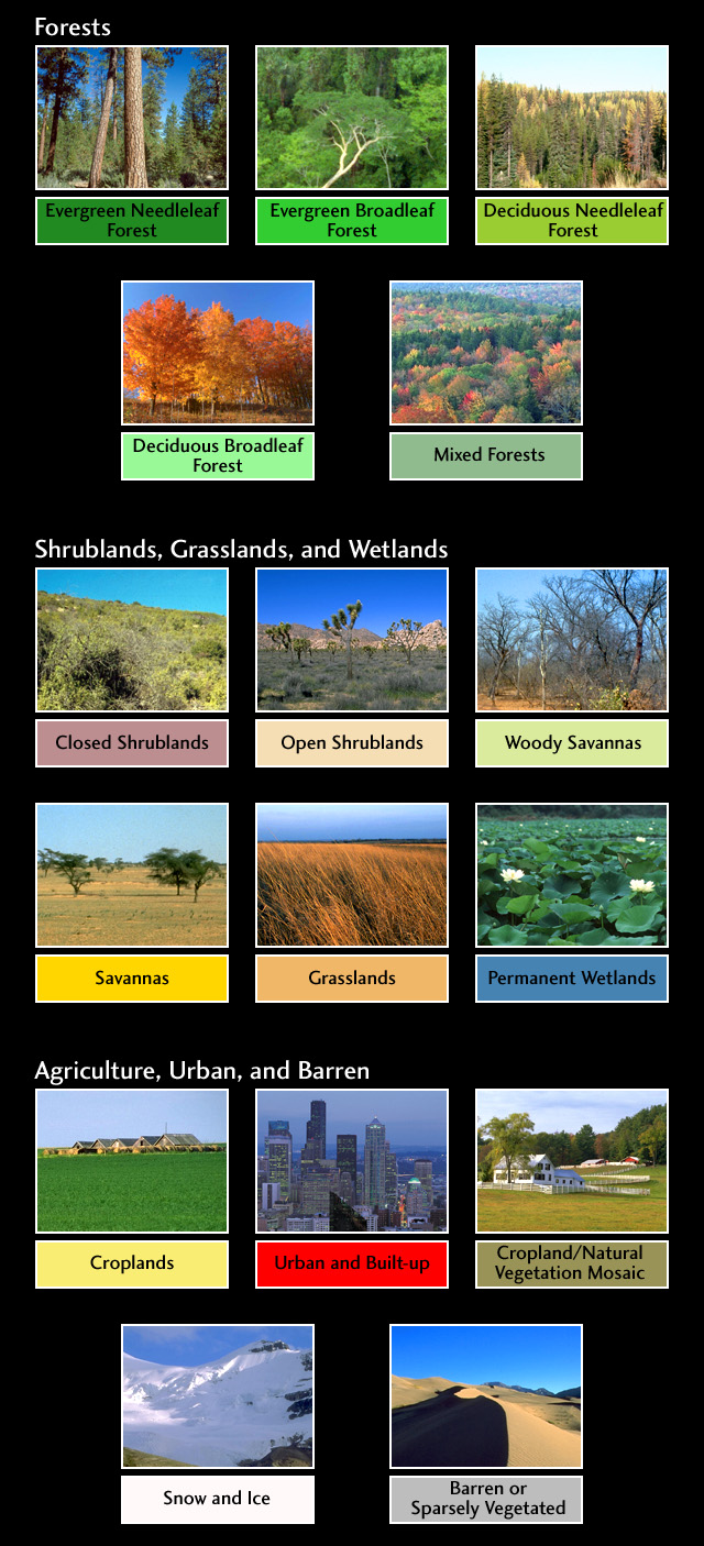 New Land Cover Classification Maps - related image preview