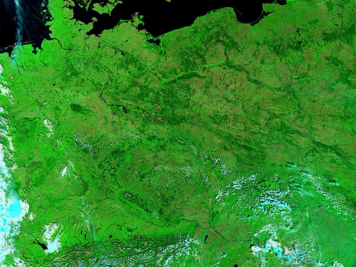 Flooding of the Elbe in Germany - related image preview