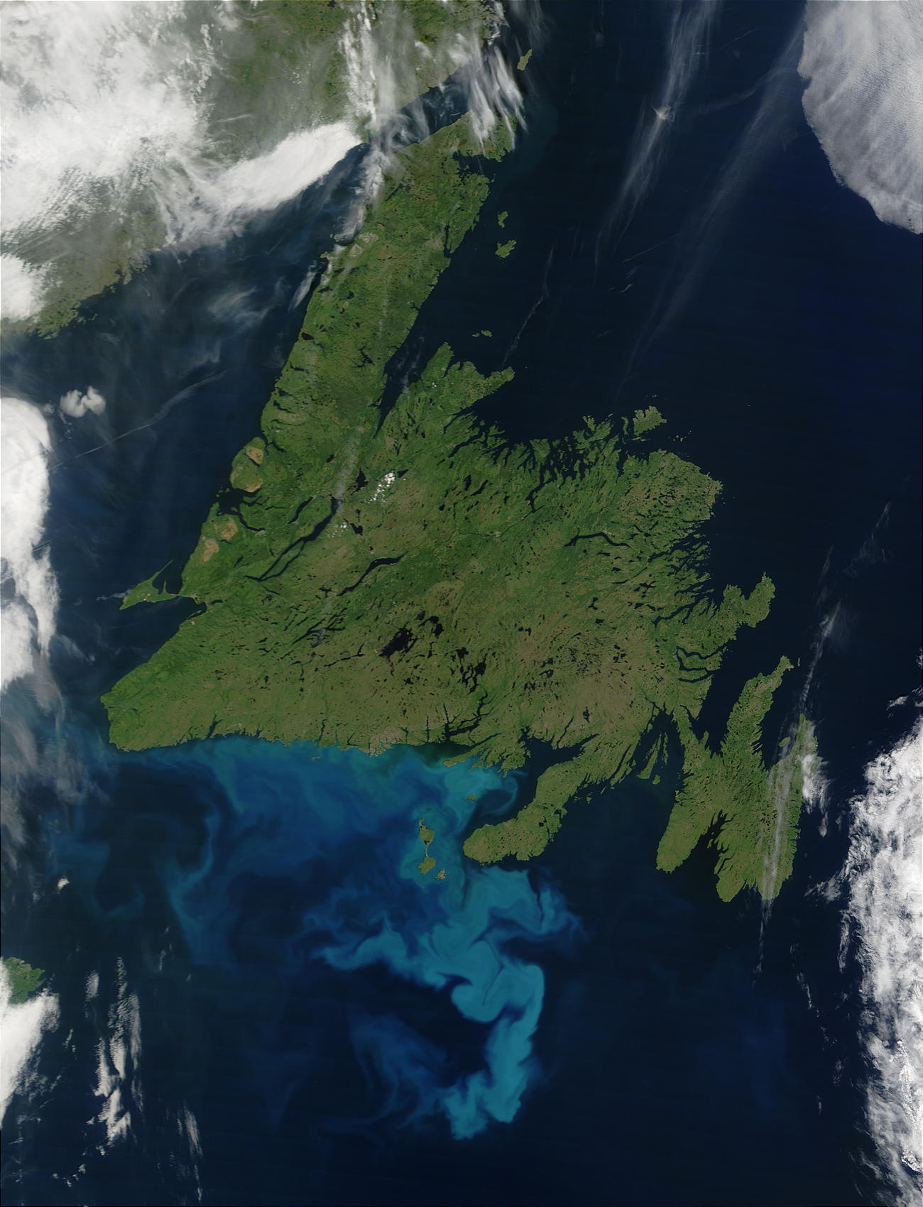 Phytoplankton bloom off Newfoundland, Canada - related image preview