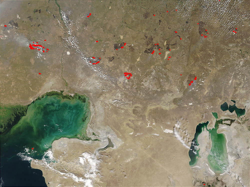Fires in Kazakhstan - related image preview
