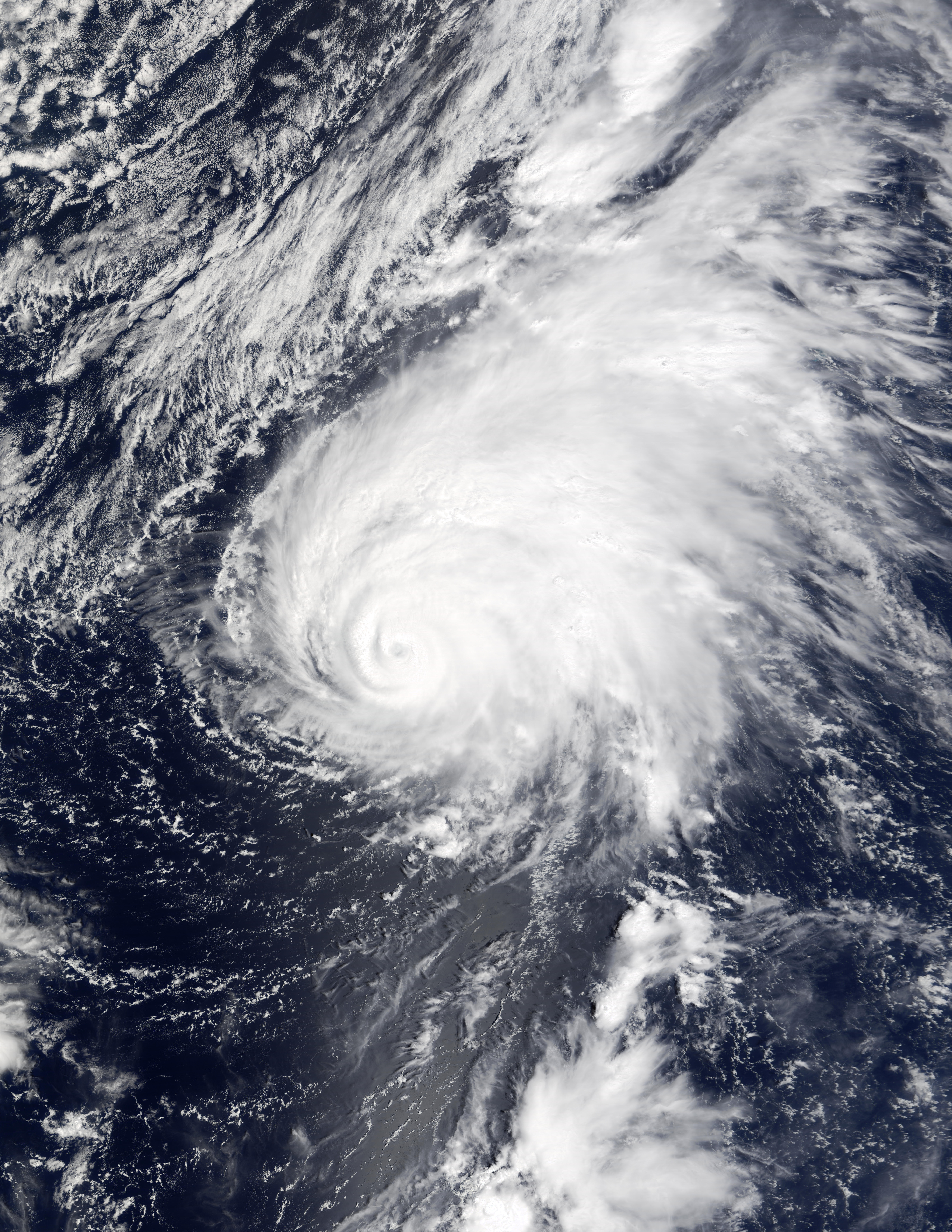 Typhoon Ele (02C), Central Pacific Ocean - related image preview