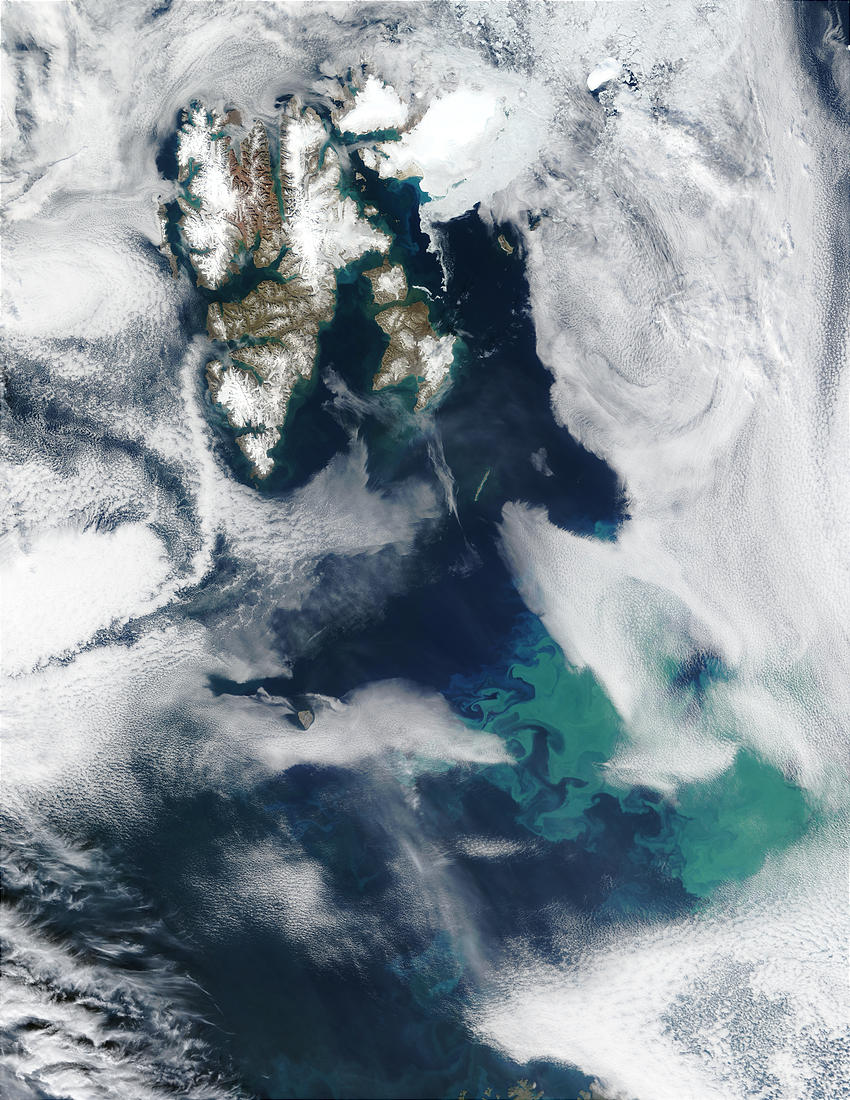 Phytoplankton bloom near Svalbard in Barents Sea - related image preview
