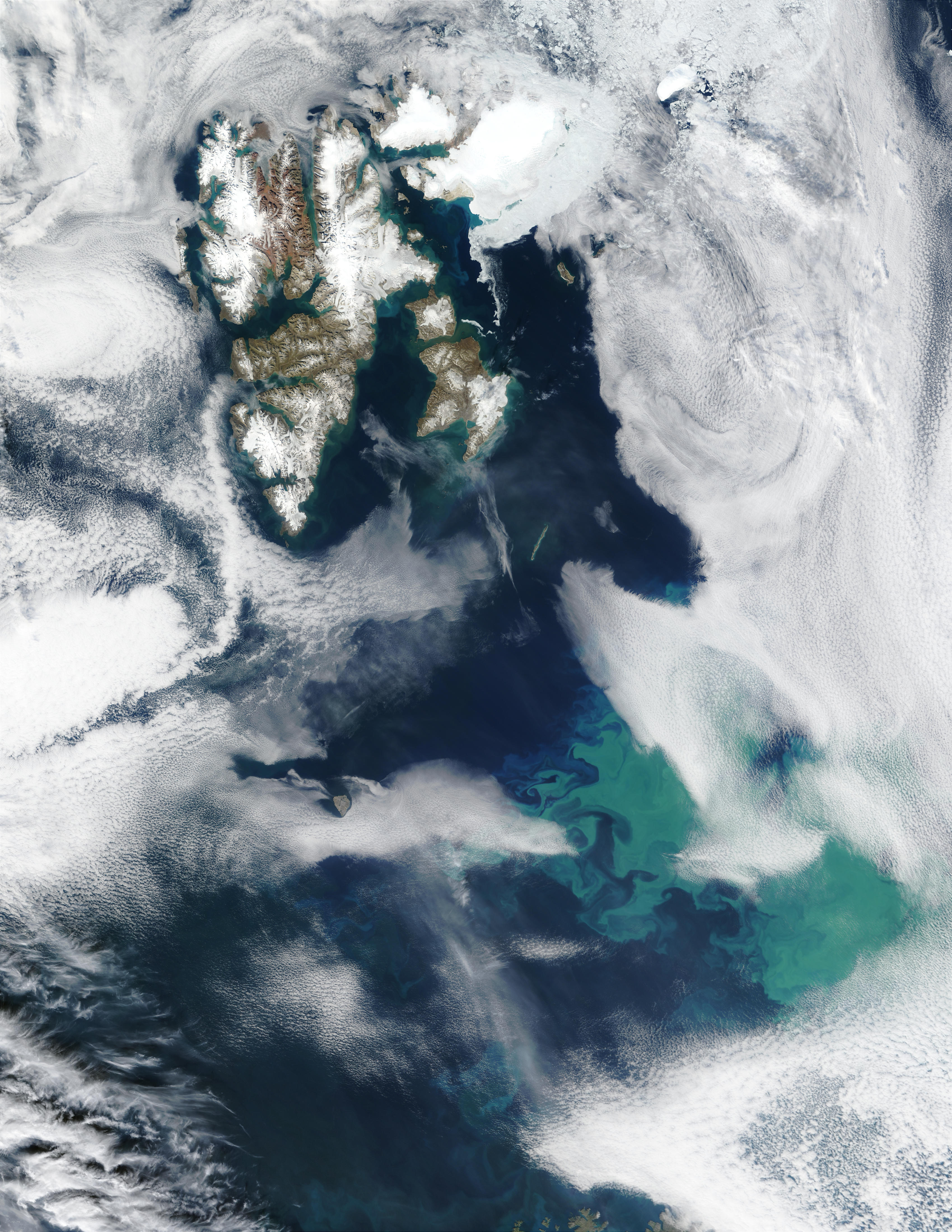 Phytoplankton bloom near Svalbard in Barents Sea - related image preview