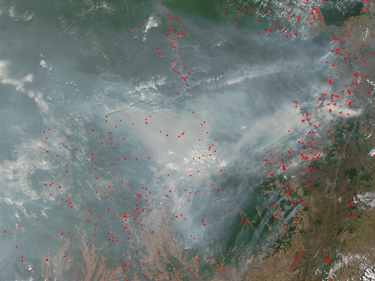 Fires and smoke in Mato Grosso, Brazil - related image preview