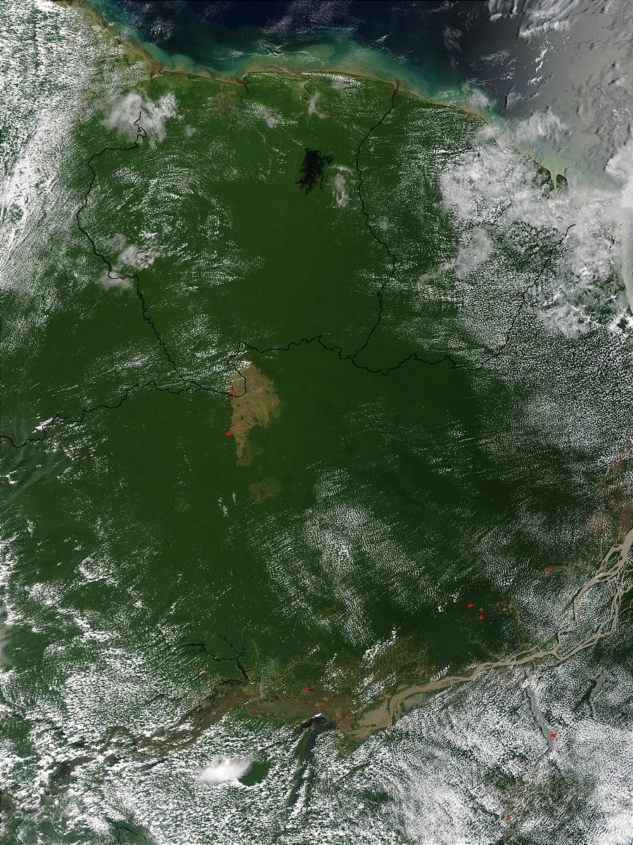 Northern Brazil and Suriname - related image preview