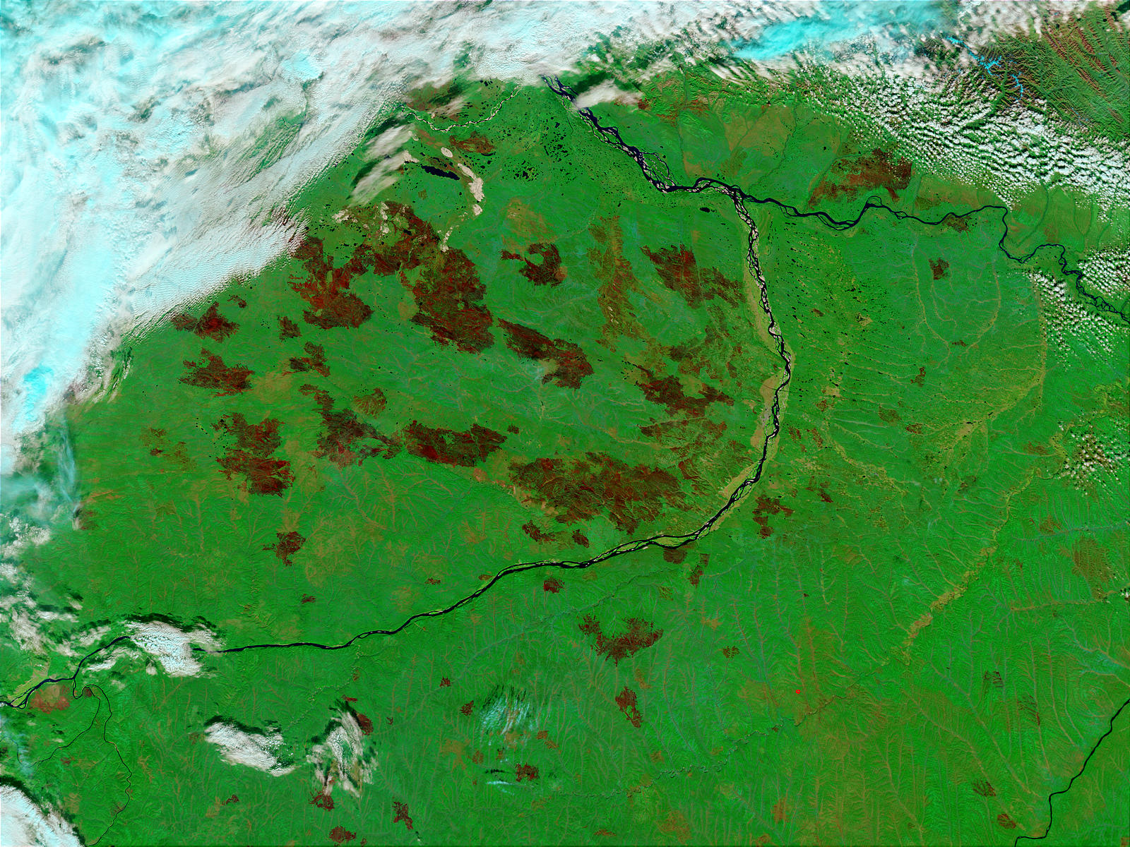 Burn scars near Yakutsk, Russia - related image preview