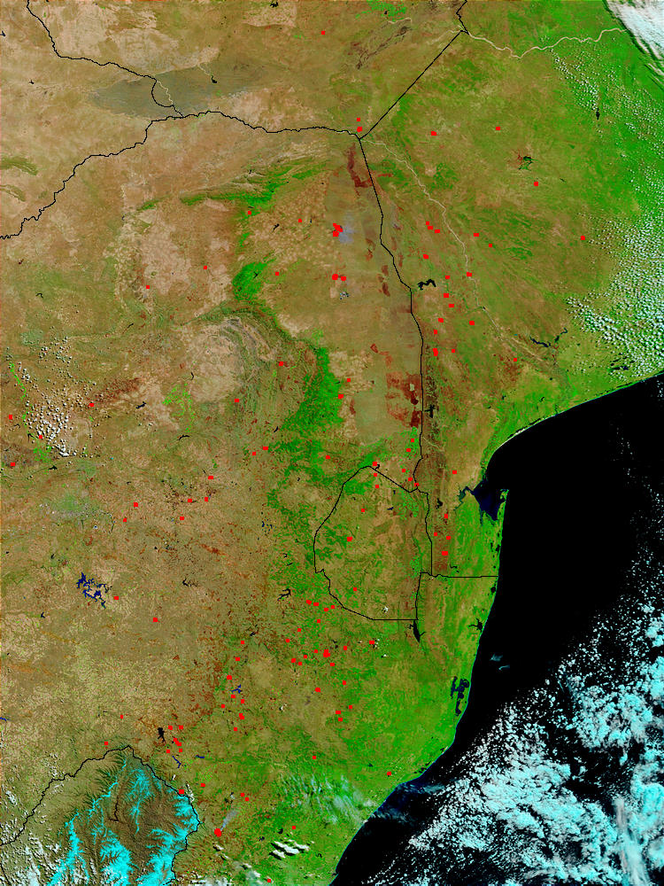 Fires and burn scars in South Africa and Mozambique - related image preview
