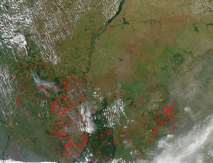 Fires in Paraguay and Brazil - related image preview