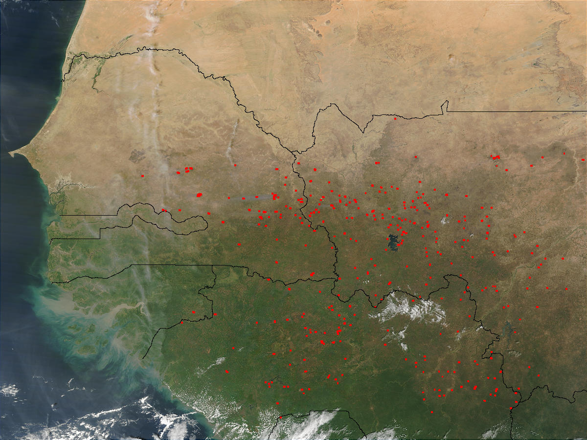 Fires in Western Africa (morning overpass) - related image preview