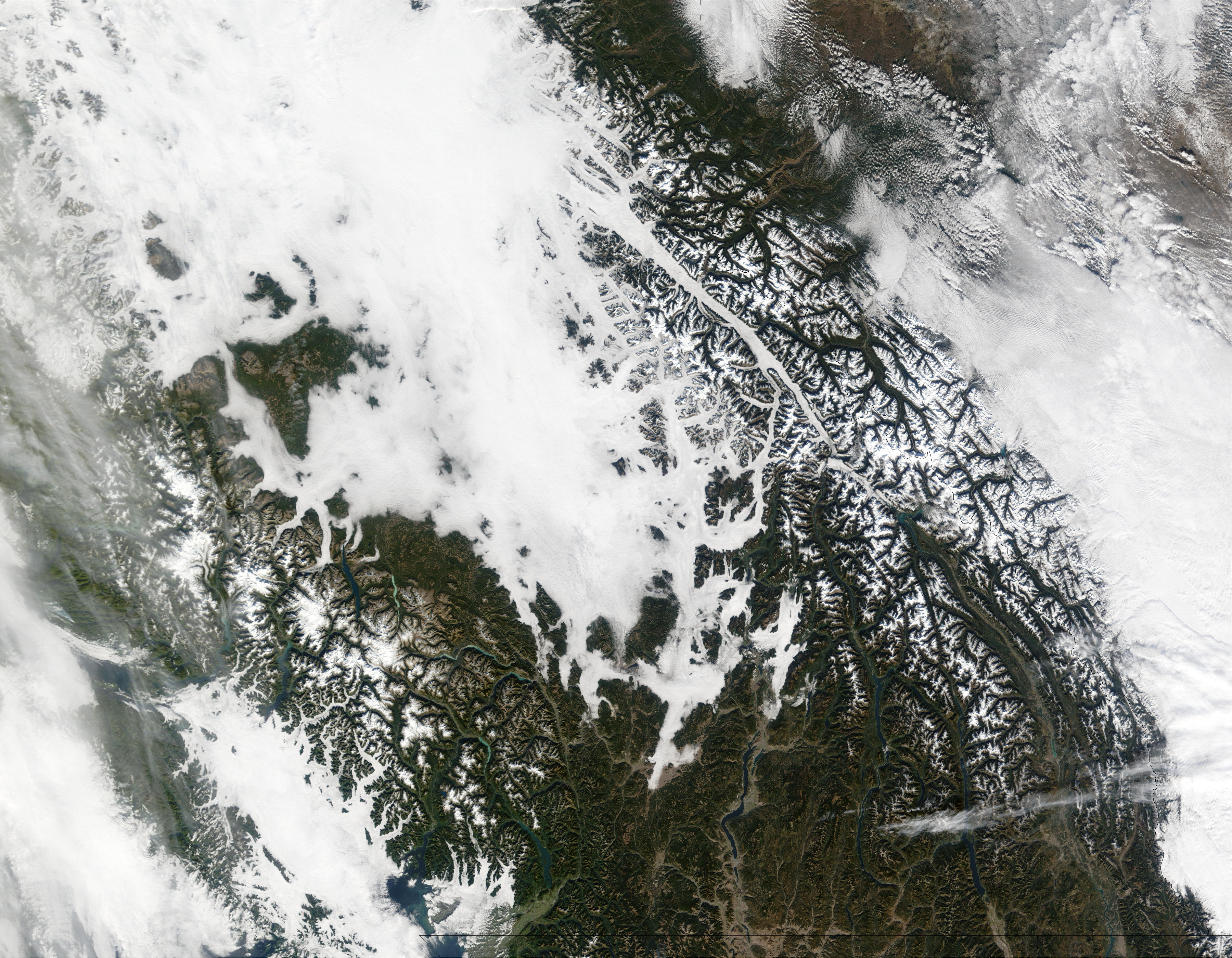 Fog in the Rockies Valleys, British Columbia - related image preview